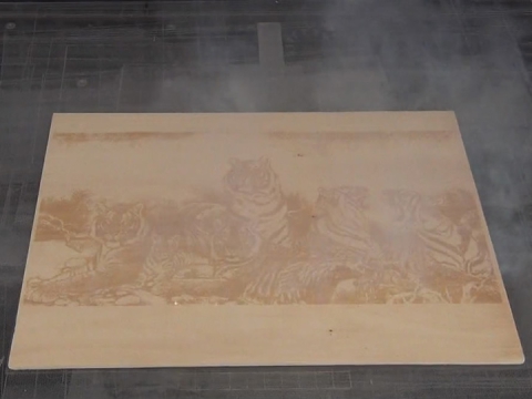 工業 CO2 木版印刷激光打標機