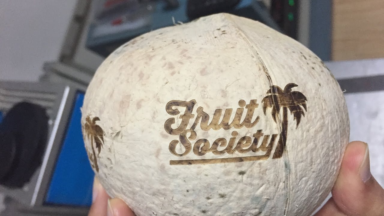 STYLECNC 泰國椰子激光雕刻機(jī)