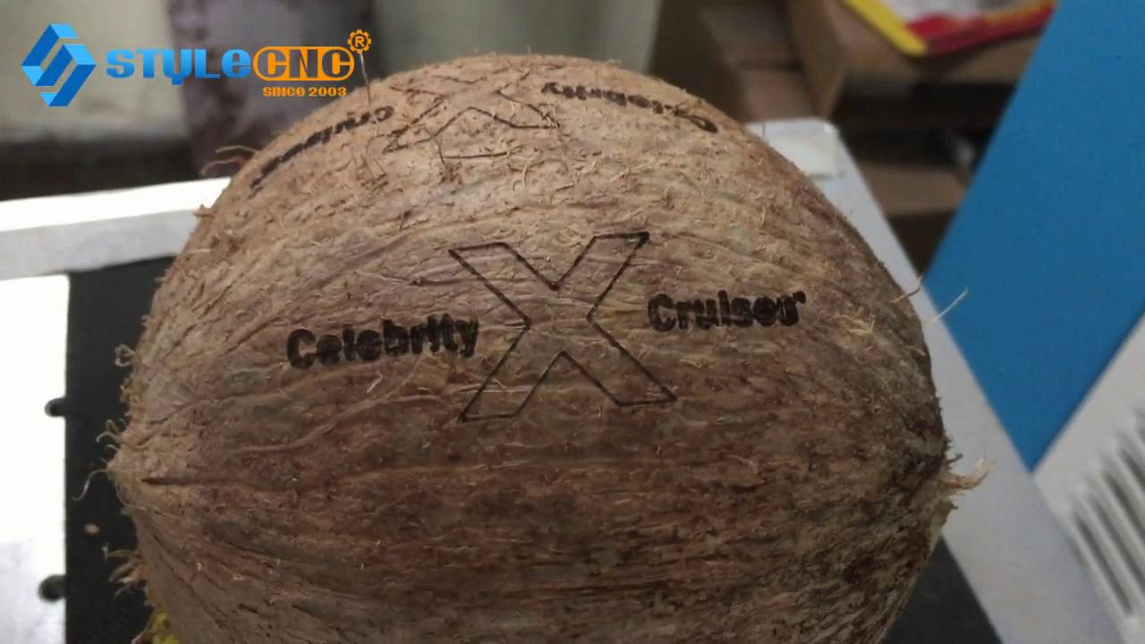 新鮮椰子激光雕刻打標(biāo)機(jī) 新鮮椰子激光雕刻打標(biāo)機(jī)